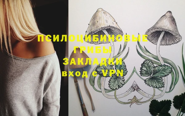 альфа пвп Вяземский