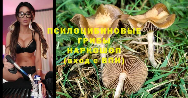 прущие крисы Волосово